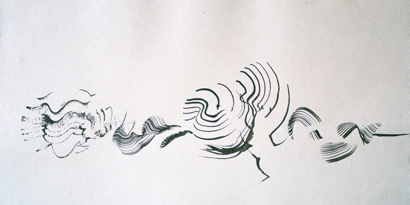 38x56cm, 2009, schwarze Tusche auf geschpftem Papier
